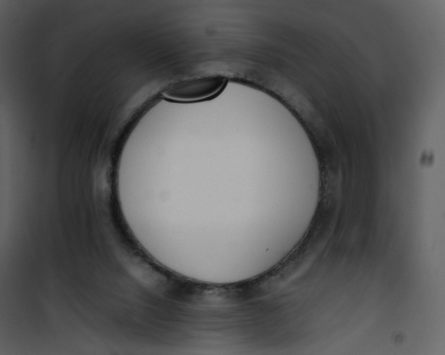 X0000101190064200807181521