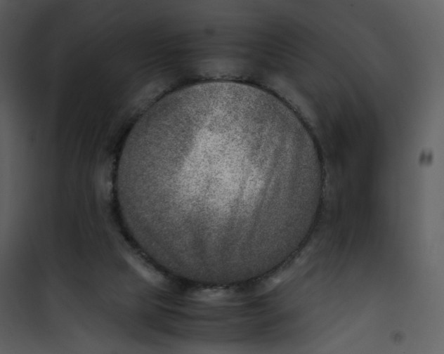X0000101190065200807181521