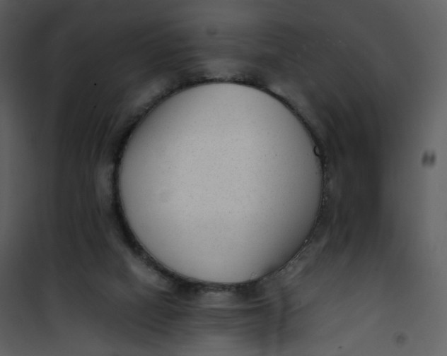 X0000101190066200807181521