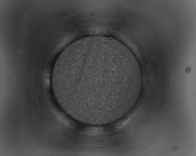 X0000101190067200807181521
