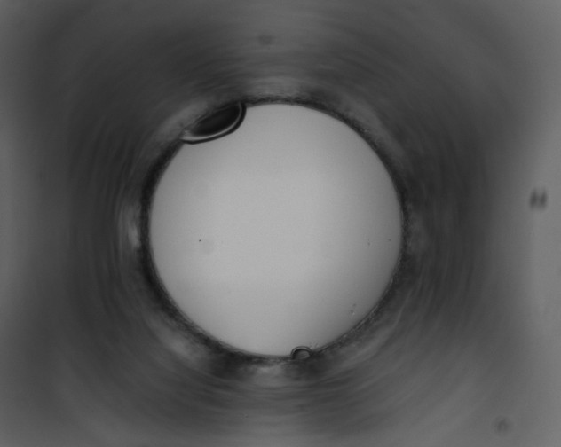 X0000101190068200807181521
