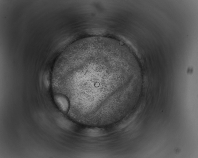 X0000101190069200807181521