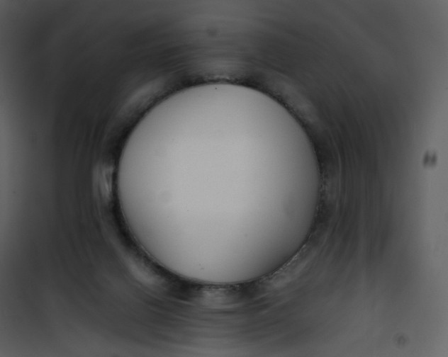 X0000101190070200807181521