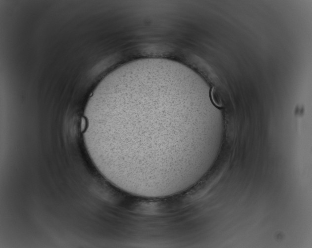 X0000101190071200807181521