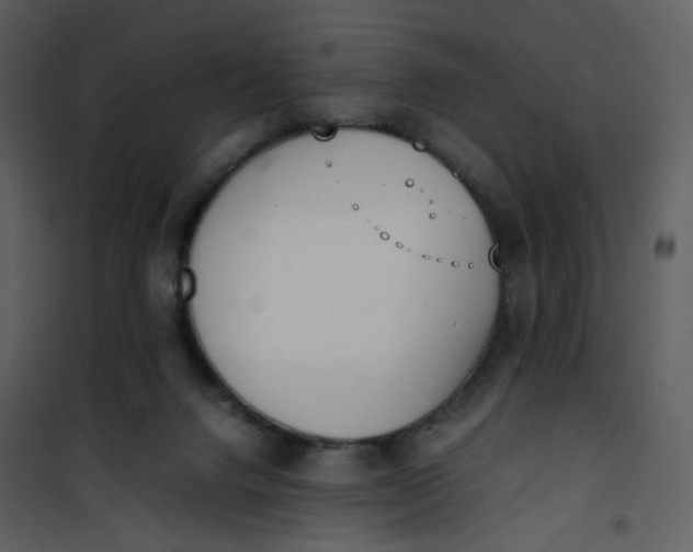 X0000101190072200807181521