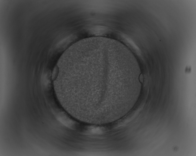 X0000101190073200807181521
