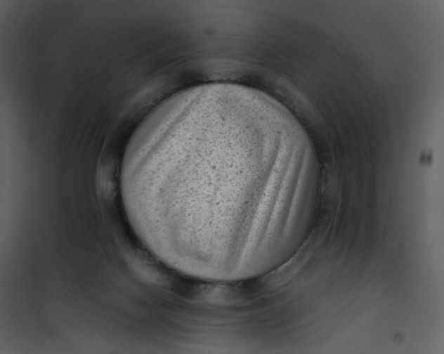 X0000101190074200807181521