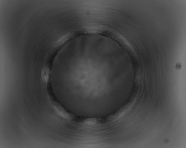 X0000101190076200807181521