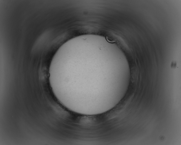 X0000101190077200807181521