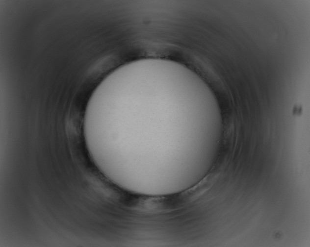 X0000101190078200807181521