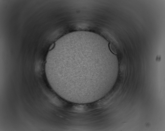 X0000101190079200807181521