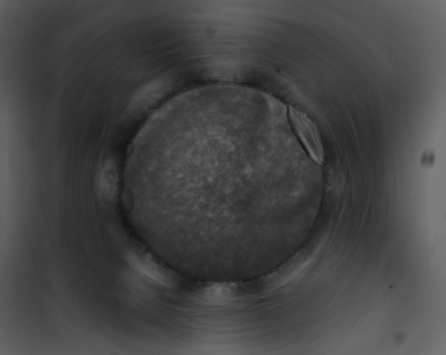 X0000101190080200807181521