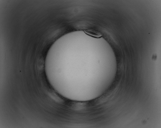 X0000101190081200807181521