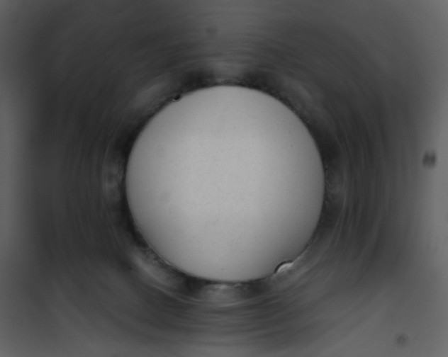 X0000101190082200807181521