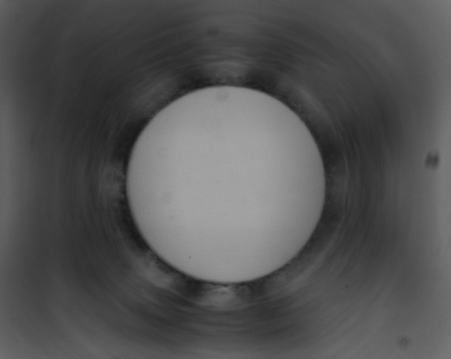 X0000101190083200807181521