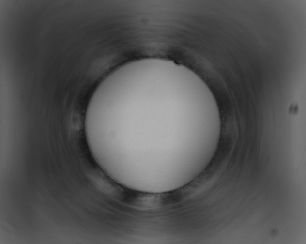 X0000101190084200807181521