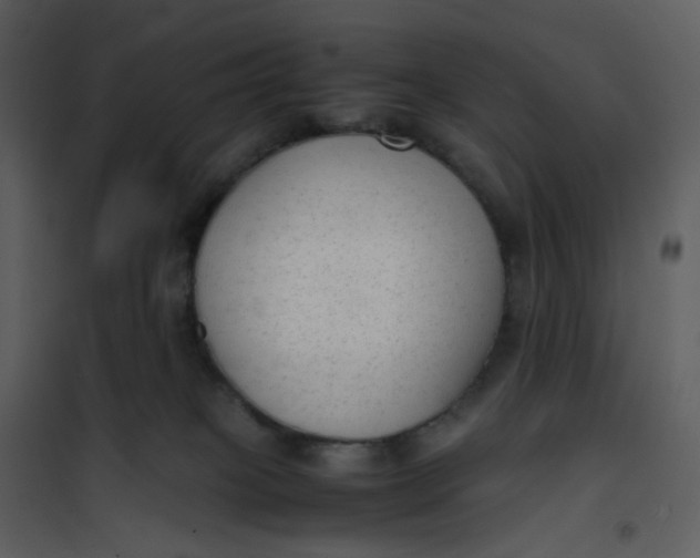 X0000101190085200807181521