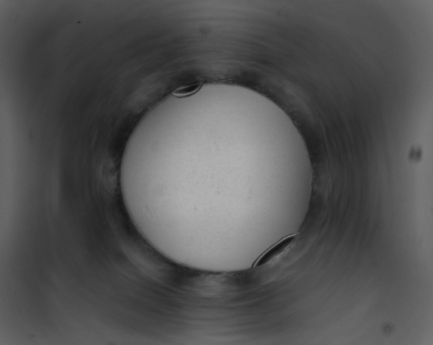 X0000101190086200807181521