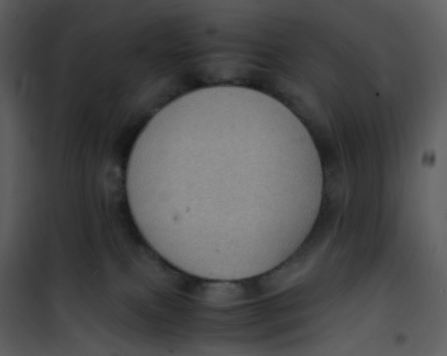 X0000101190087200807181521