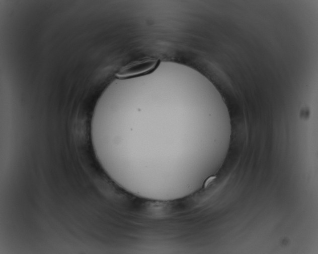 X0000101190088200807181521