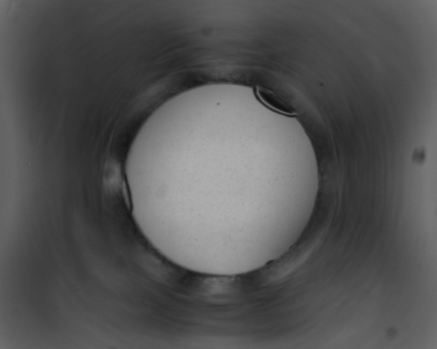 X0000101190089200807181521