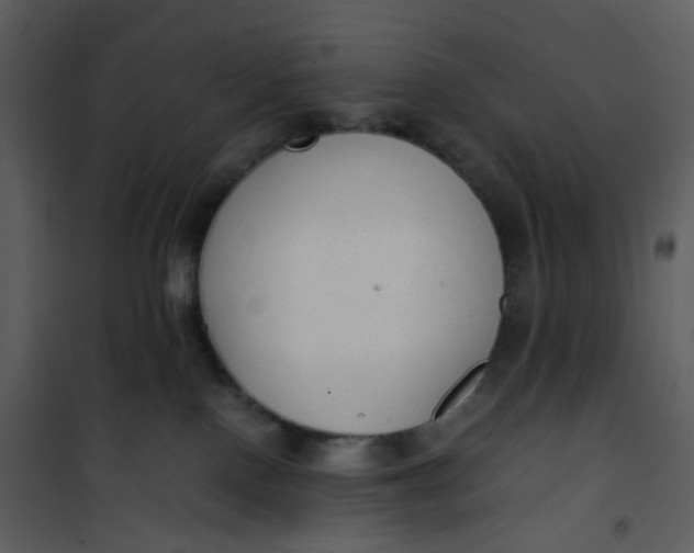 X0000101190090200807181521
