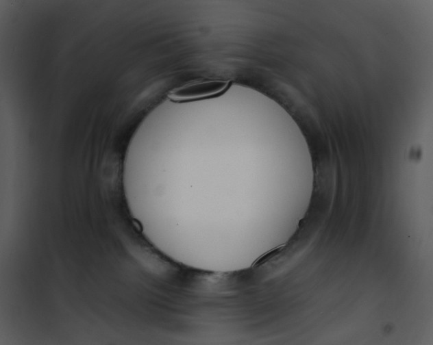 X0000101190092200807181521