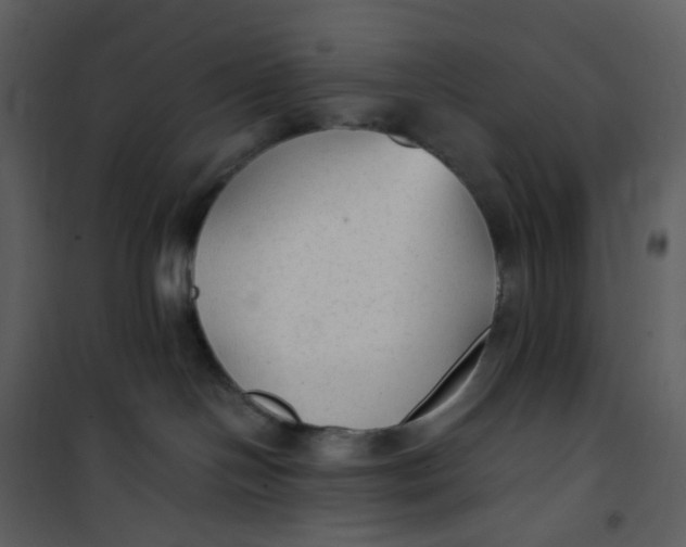 X0000101190094200807181521