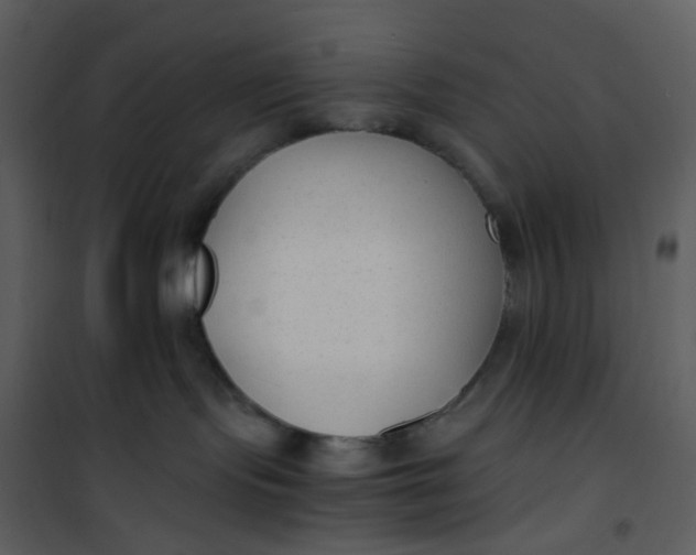 X0000101190095200807181521