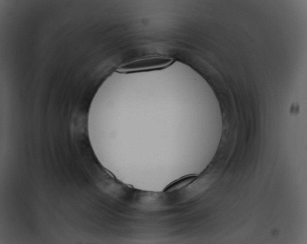 X0000101190096200807181521