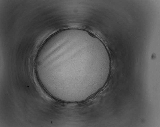 X0000101190097200807181520