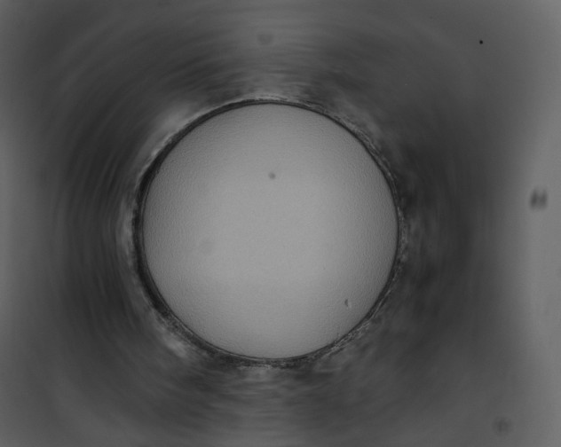 X0000101190098200807181520
