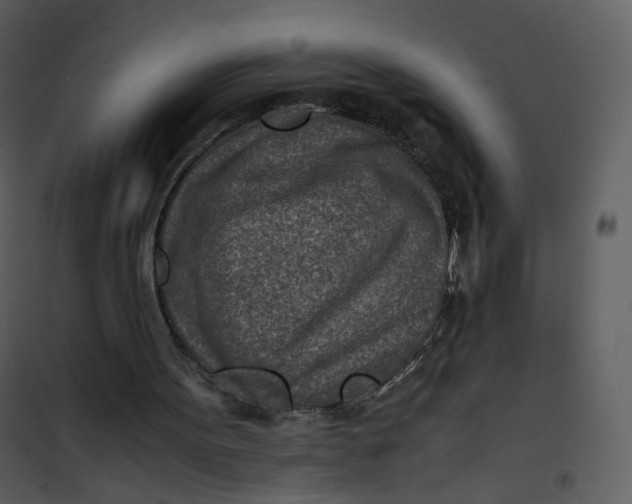 X0000101190099200807181520