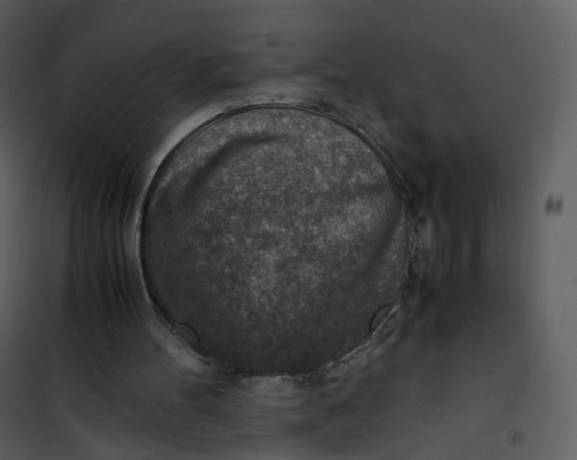 X0000101190100200807181520