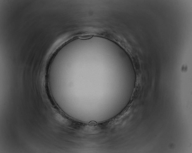 X0000101190101200807181520