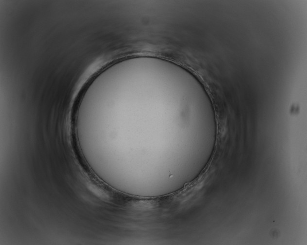 X0000101190102200807181520