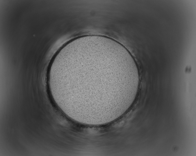 X0000101190103200807181520