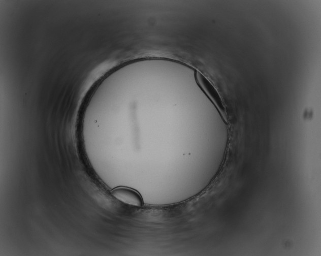 X0000101190104200807181520