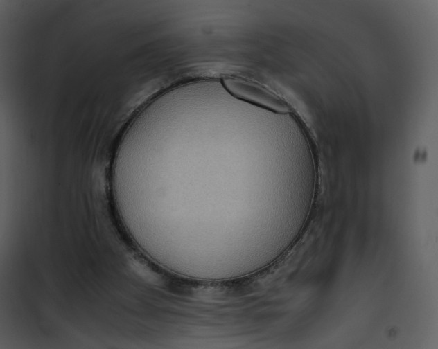 X0000101190105200807181520