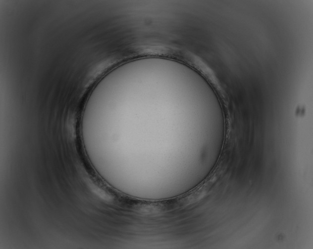 X0000101190106200807181520