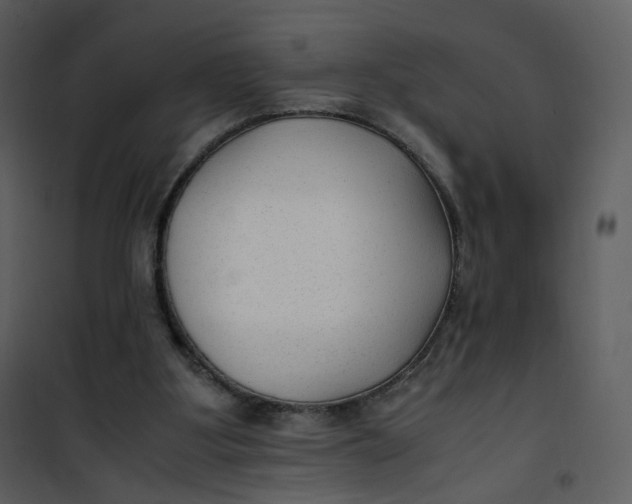 X0000101190107200807181520