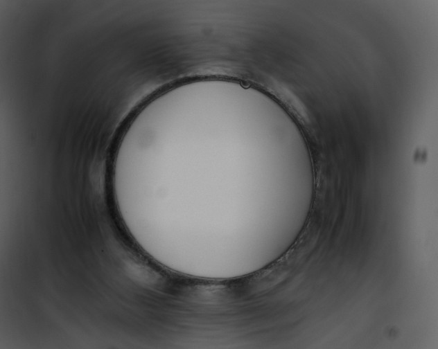 X0000101190108200807181520