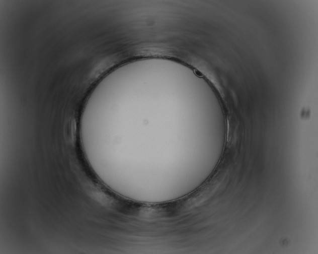 X0000101190109200807181520