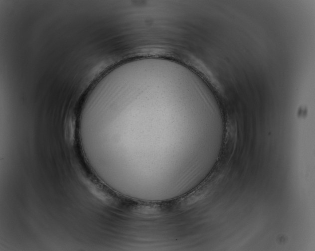 X0000101190110200807181520