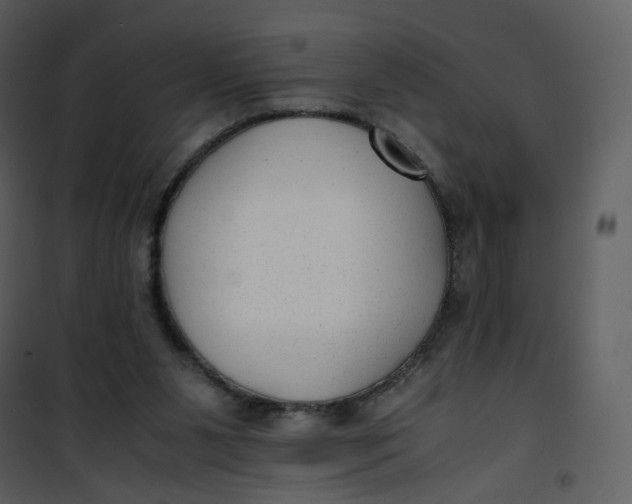 X0000101190111200807181520