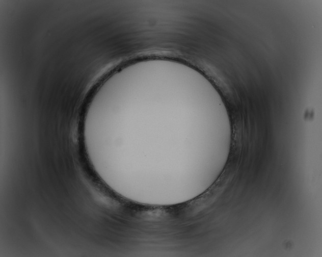 X0000101190112200807181520
