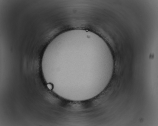 X0000101190113200807181520