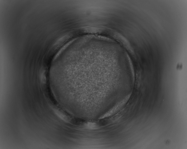 X0000101190114200807181520