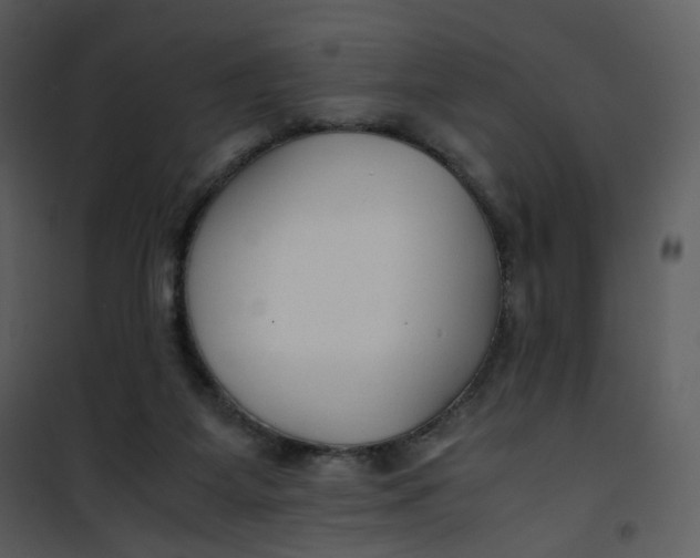 X0000101190115200807181520