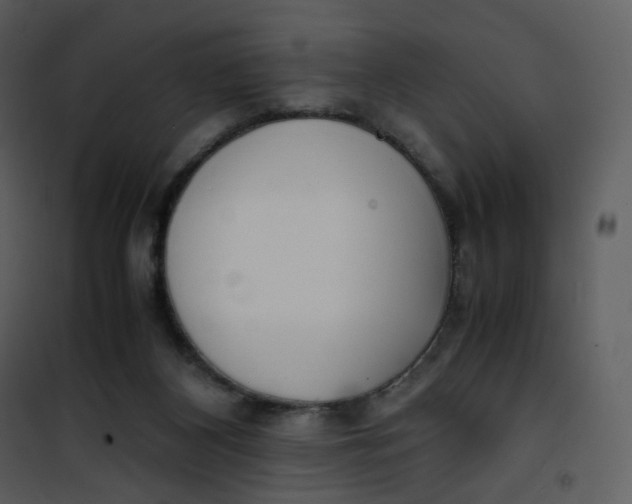 X0000101190116200807181520